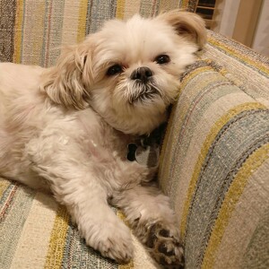 Andrea Fleisher Test